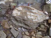 Ancient Sea Bed 006.webp