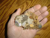 Ancient Seabed 001.webp