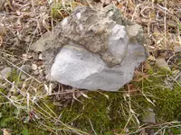 Ancient Sea Bed 007.webp