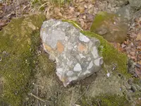 Ancient Sea Bed 005.webp
