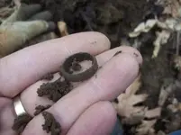 jan 27 cellar hole solo 004 [].webp