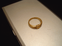 DSC02887[1].gif