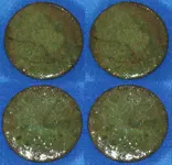 odd copper.webp