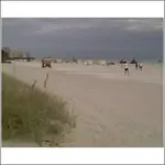 south beach 7 am.webp