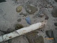 arrowheads 2009 062.webp