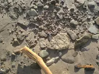 arrowheads 2009 064.webp