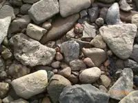 arrowheads 2009 069.webp