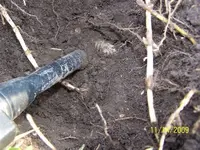 nov 15 3 ringer in the hole.webp
