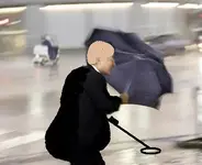 detectorfatguy.webp detectorfatguy.webp