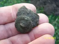 nov 15 i button just dug.webp