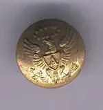 odd eagle A.webp