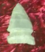 Trees.webp