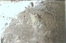 Elipe_on_rock[1].webp