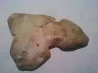 file000MA25744883-0003.webp
