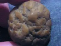 009.webp