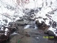 100_3543.webp