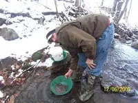 100_3547.webp
