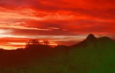 sunrise_crop.webp