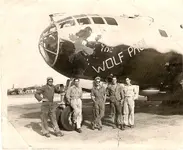 THE WOLF PACK.webp