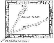 root cellar.webp