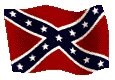 CSA Flag.GIF