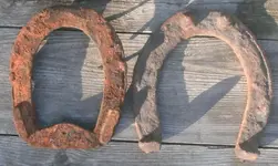 SANY0063 (2) horseshoe.webp