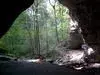 carter caves brige.webp