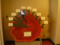 Forest Heritage Museum 013.webp