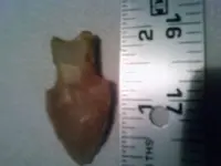 MultimedMA25748091-0012.webp
