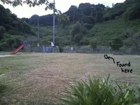 park.webp park.webp