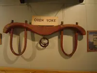 Forest Heritage Museum 034.webp