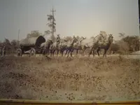Forest Heritage Museum 027.webp