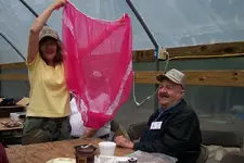 wsd panties.webp