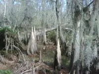 IMG00038-20091212-1139.webp