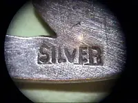 Jan16-2010-SILVER.webp
