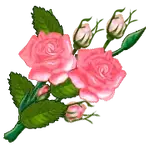 MCj04368750000[1].webp