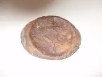 stone12.webp
