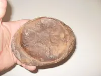 stone13.webp