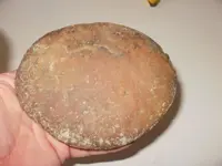 stone14.webp