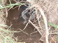 DSCF2130.webp