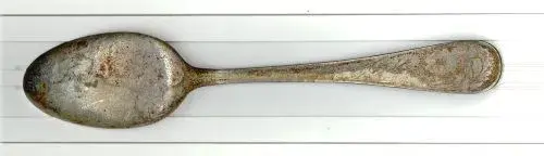 spoonback.webp