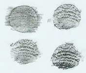 coin.webp