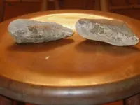 image0002.webp