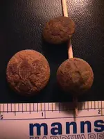 2 US Cuff and 1 Jacket Button.webp