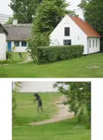 walking creature.webp
