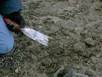 Muddy IH.webp