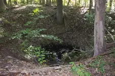 7-sink-hole.webp
