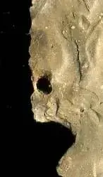 a1withholetwo.webp