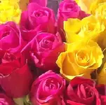 assorted-roses.webp