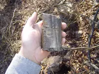 Fossils & mt walk 002.webp